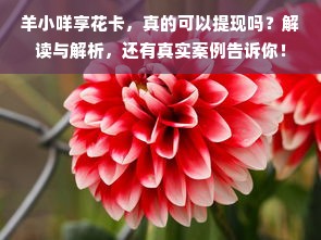平价又有效的杀菌消炎面膜，你的护肤小助手！