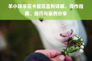 羊小咩享花卡提现盈利详解，操作指南、技巧与案例分享