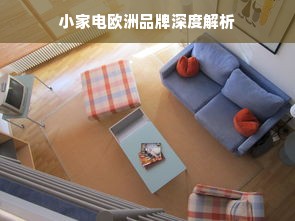 小家电欧洲品牌深度解析