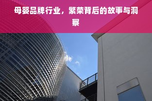 母婴品牌行业，繁荣背后的故事与洞察