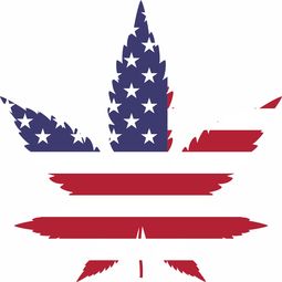 美国新冠医药品牌排行及相关解析