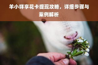 羊小咩享花卡提现攻略，详细步骤与案例解析