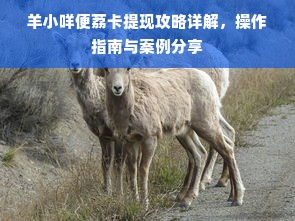 羊小咩便荔卡提现攻略详解，操作指南与案例分享