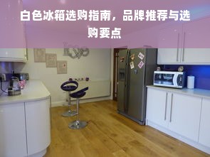 白色冰箱选购指南，品牌推荐与选购要点