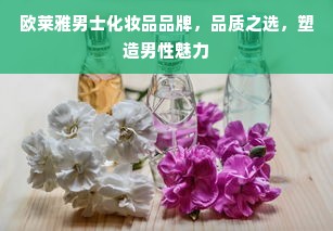 欧莱雅男士化妆品品牌，品质之选，塑造男性魅力