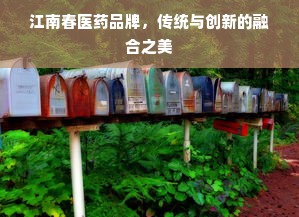 江南春医药品牌，传统与创新的融合之美