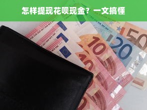 怎样提现花呗现金？一文搞懂