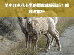 羊小咩享花卡里的额度能提现吗？解读与解析