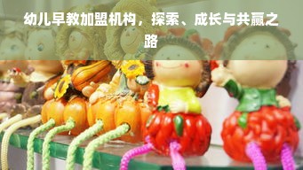 幼儿早教加盟机构，探索、成长与共赢之路