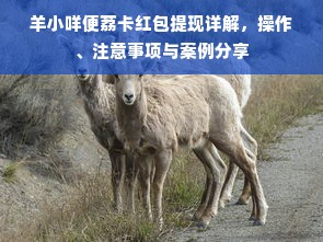 羊小咩便荔卡红包提现详解，操作、注意事项与案例分享