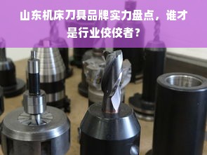 真酷母婴品牌，引领母婴市场，打造品质生活新标杆