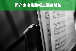 国产家电品牌标志深度解析