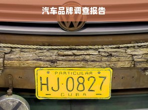 汽车品牌调查报告