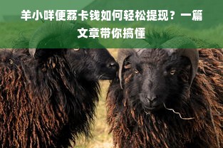 羊小咩便荔卡钱如何轻松提现？一篇文章带你搞懂