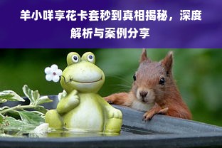 羊小咩享花卡套秒到真相揭秘，深度解析与案例分享