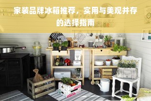 家装品牌冰箱推荐，实用与美观并存的选择指南