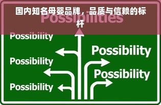 国内知名母婴品牌，品质与信赖的标杆