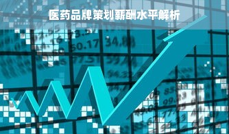 医药品牌策划薪酬水平解析