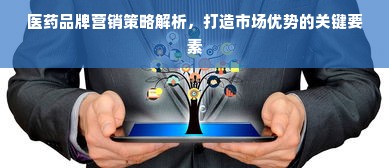 医药品牌营销策略解析，打造市场优势的关键要素
