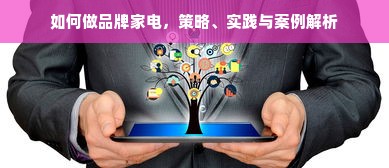 如何做品牌家电，策略、实践与案例解析