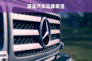 湖北汽车品牌概览