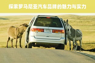 探索罗马尼亚汽车品牌的魅力与实力