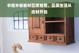 衣柜木板板材品牌推荐，品质生活从选材开始