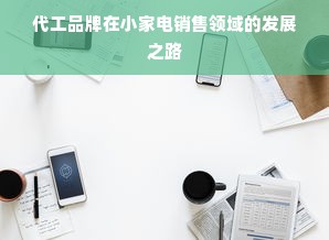 代工品牌在小家电销售领域的发展之路