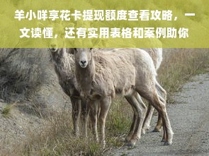 羊小咩享花卡提现额度查看攻略，一文读懂，还有实用表格和案例助你理解