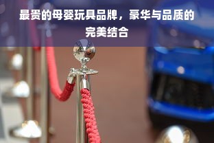 最贵的母婴玩具品牌，豪华与品质的完美结合