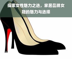 探索女性魅力之选，家居品牌女鞋的魅力与选择