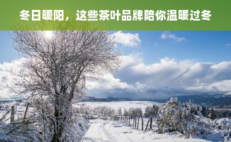 冬日暖阳，这些茶叶品牌陪你温暖过冬