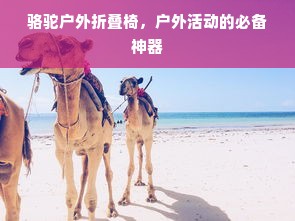 骆驼户外折叠椅，户外活动的必备神器
