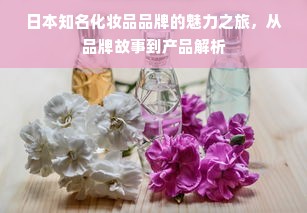 日本知名化妆品品牌的魅力之旅，从品牌故事到产品解析