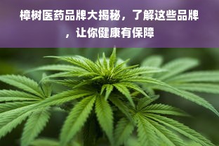 广东户外充电柜品牌大盘点