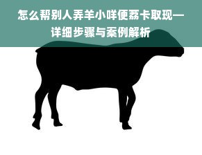 怎么帮别人弄羊小咩便荔卡取现—详细步骤与案例解析