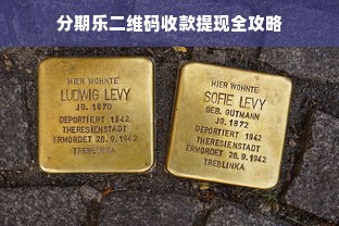 分期乐二维码收款提现全攻略