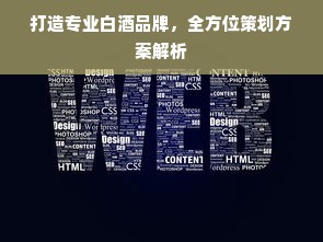 打造专业白酒品牌，全方位策划方案解析