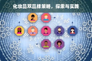 化妆品双品牌策略，探索与实践