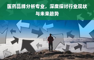 医药品牌分析专业，深度探讨行业现状与未来趋势