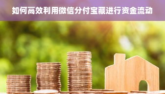 如何高效利用微信分付宝藏进行资金流动