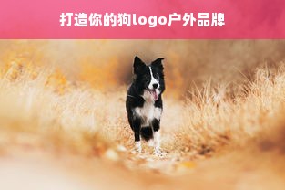 打造你的狗logo户外品牌