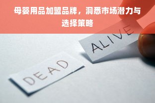 母婴用品加盟品牌，洞悉市场潜力与选择策略