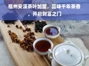 福州安溪茶叶加盟，品味千年茶香，开启财富之门