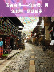 阳谷白酒—千年古县，百年老窖，品味传承