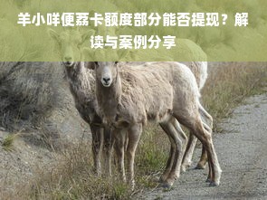 羊小咩便荔卡额度部分能否提现？解读与案例分享