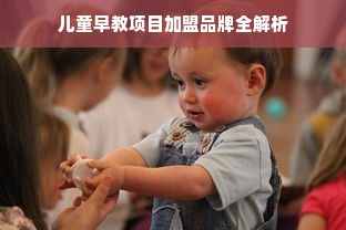 儿童早教项目加盟品牌全解析