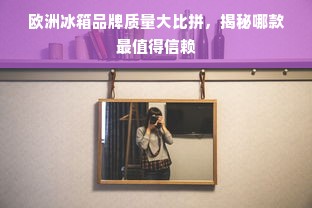 欧洲冰箱品牌质量大比拼，揭秘哪款最值得信赖