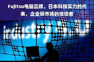 Fujitsu电脑品牌，日本科技实力的代表，企业级市场的佼佼者
