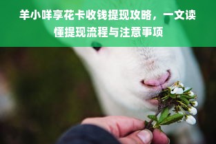 羊小咩享花卡收钱提现攻略，一文读懂提现流程与注意事项